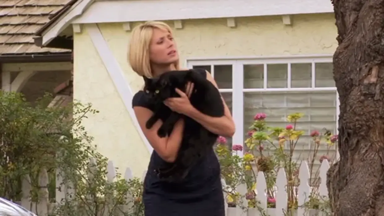 The Dog Who Saved Halloween