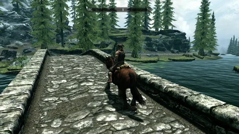 The Elder Scrolls V Skyrim