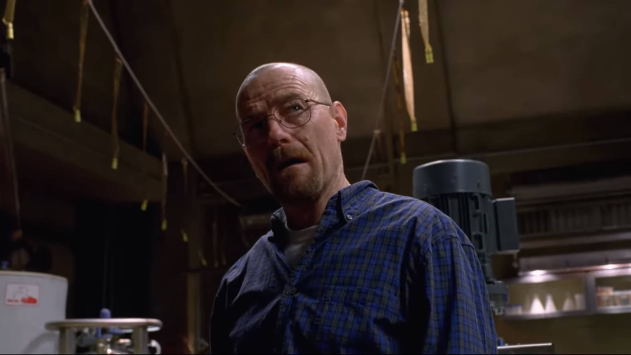 The Fly from Breaking Bad