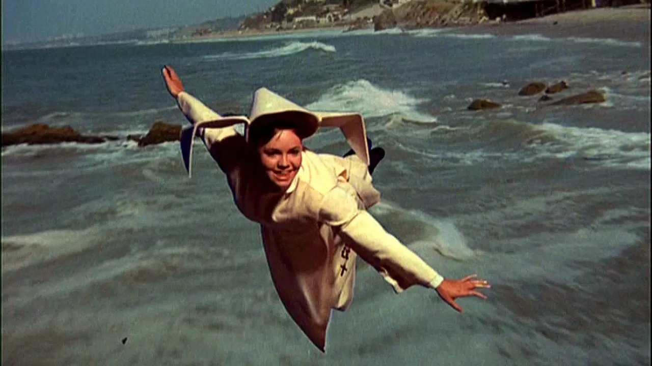 The Flying Nun 1967