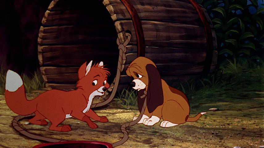The Fox and the Hound