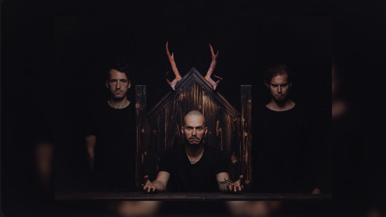 The Hirsch Effekt Band