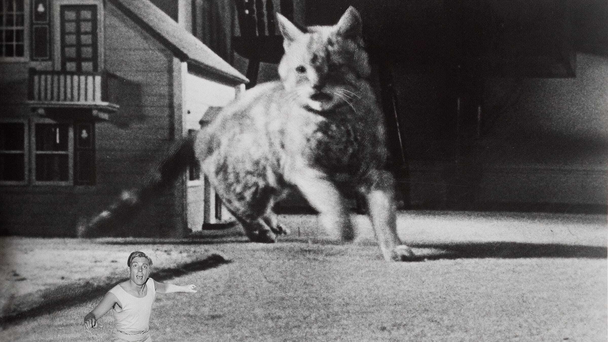 The Incredible Shrinking Man