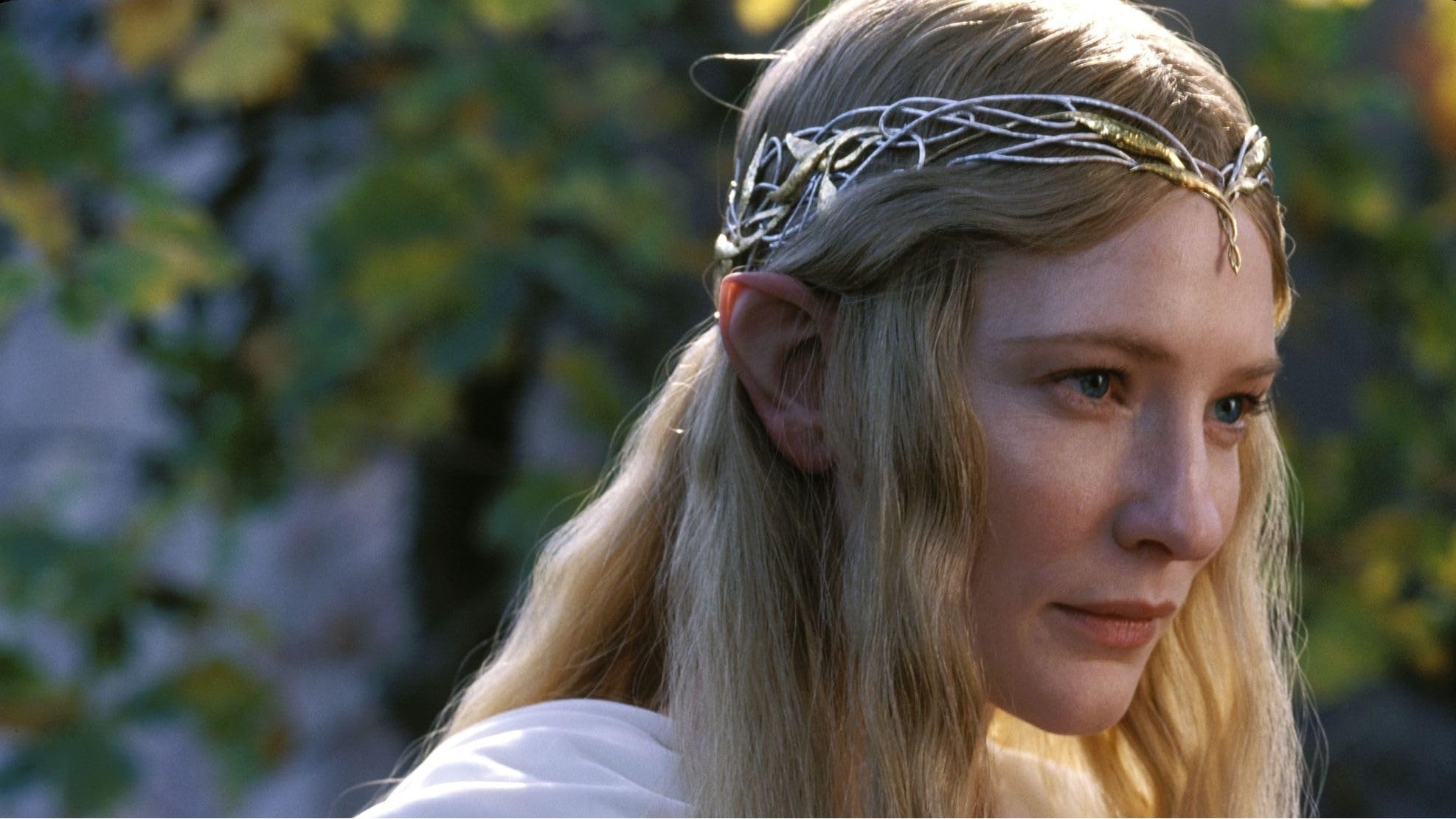 The Lord of the Rings The Fellowship of the Ring cropped processed by imagy