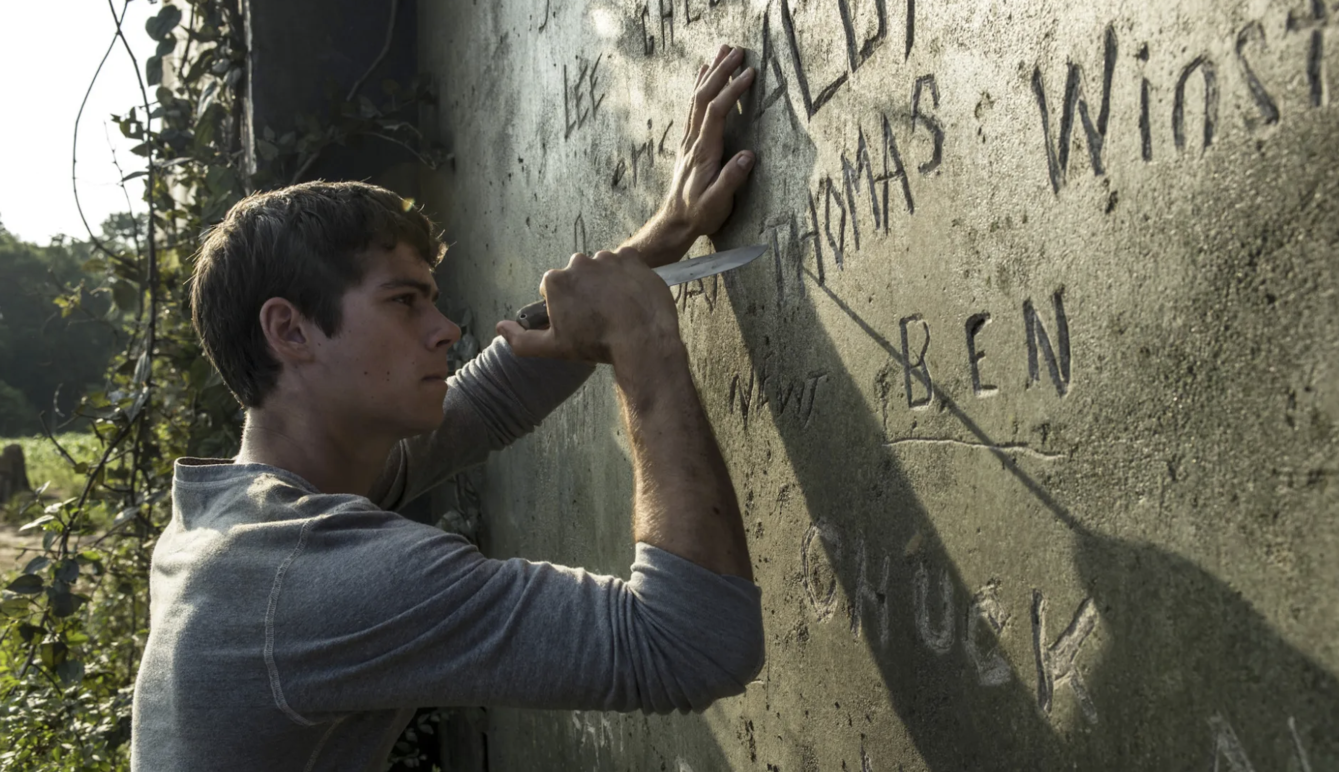 The Maze Runner