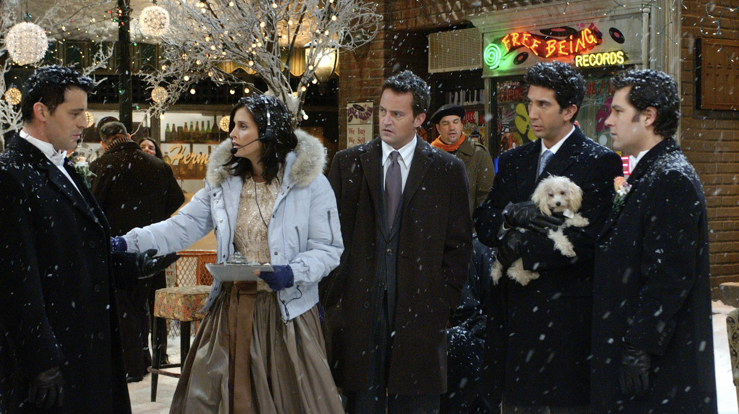 The One With Phoebes Wedding