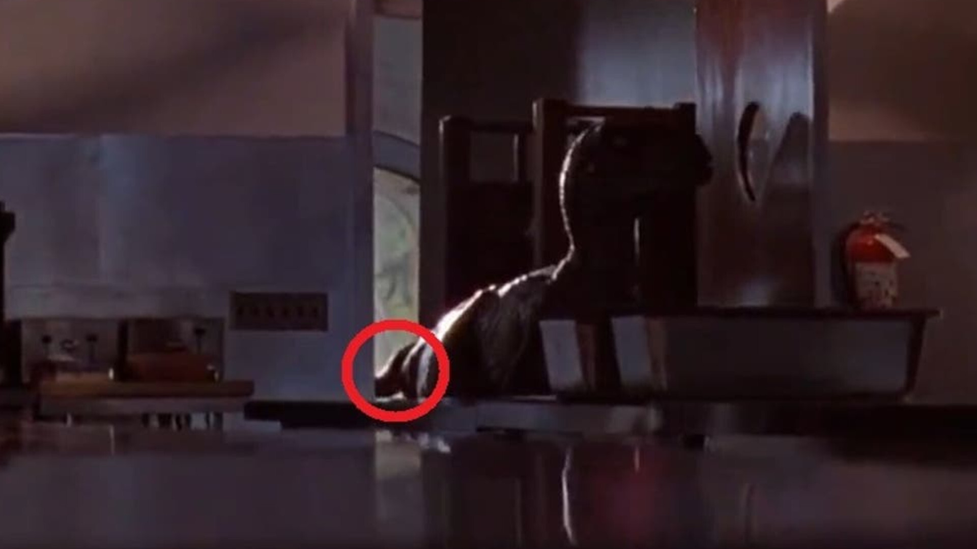 The Operators Hand in Jurassic Park