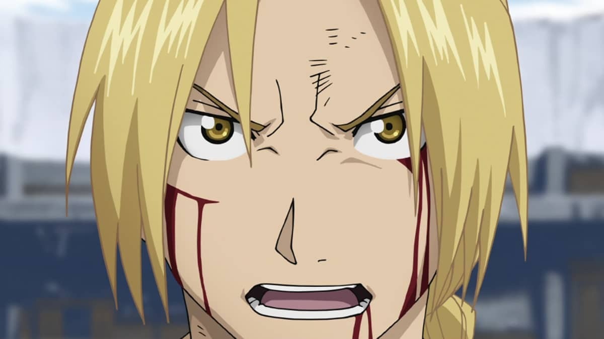 The Other Side of the Gateway Fullmetal Alchemist Brotherhood