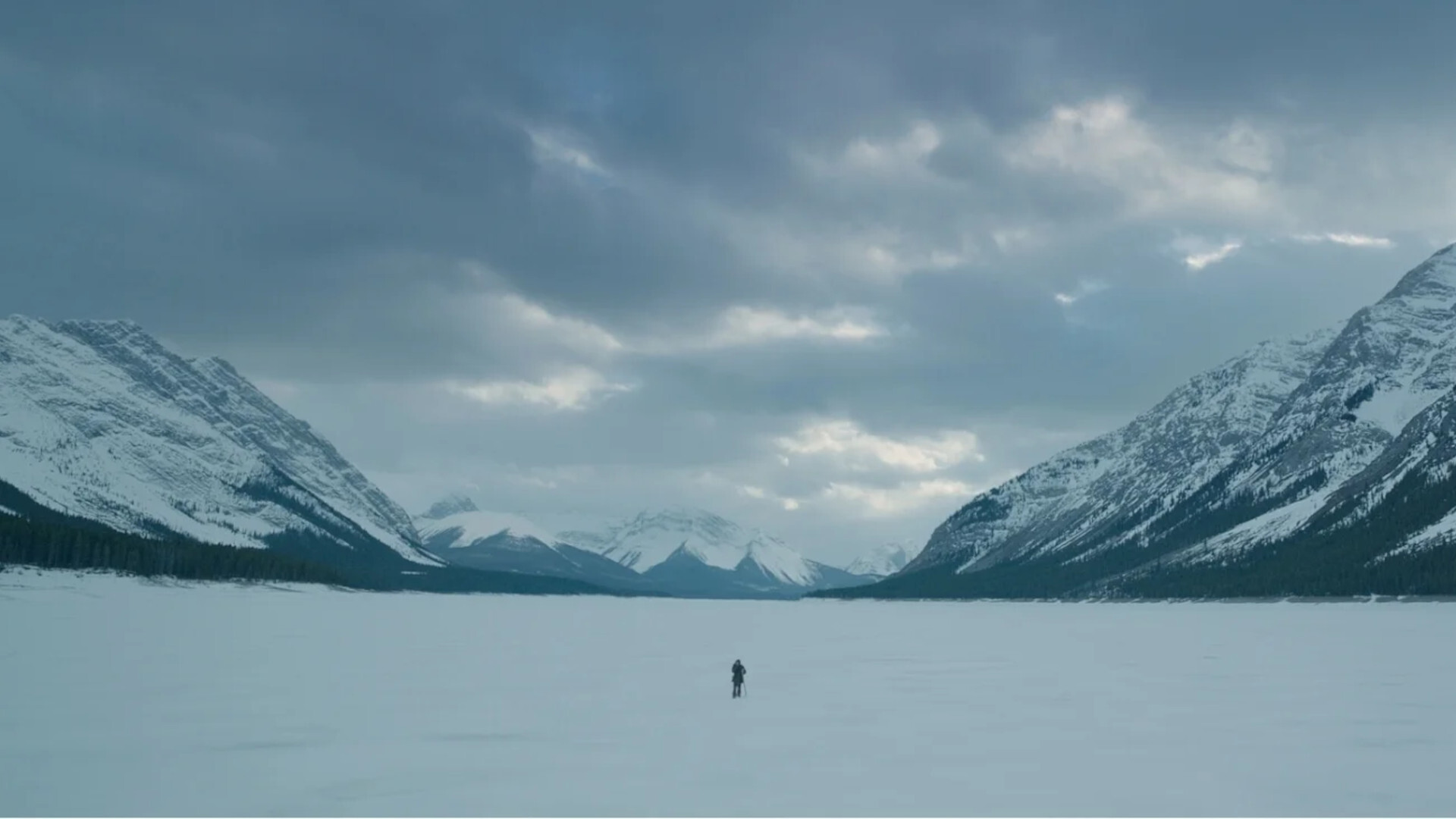 The Revenant The Snow Covered Wilderness