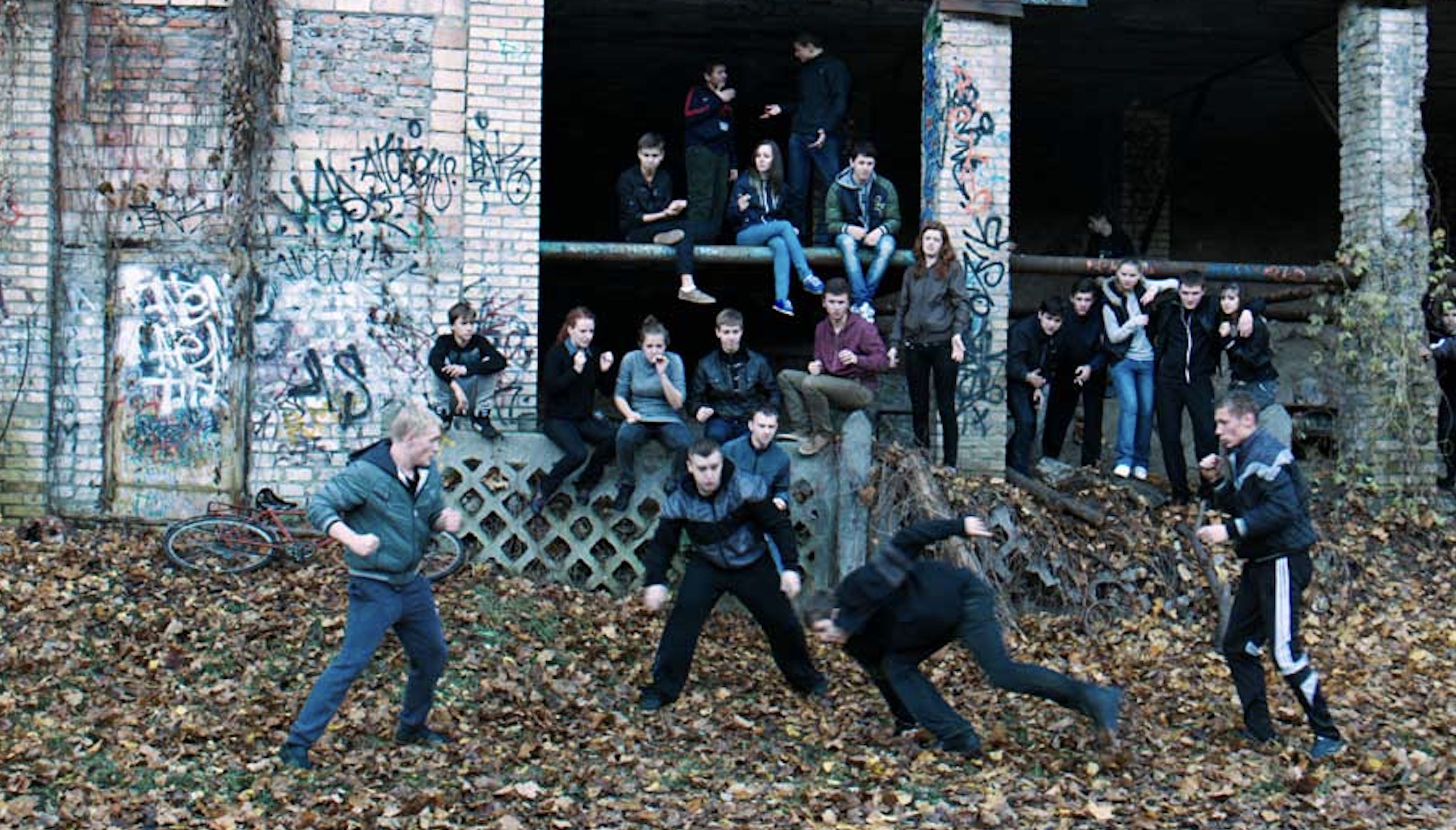 The Tribe