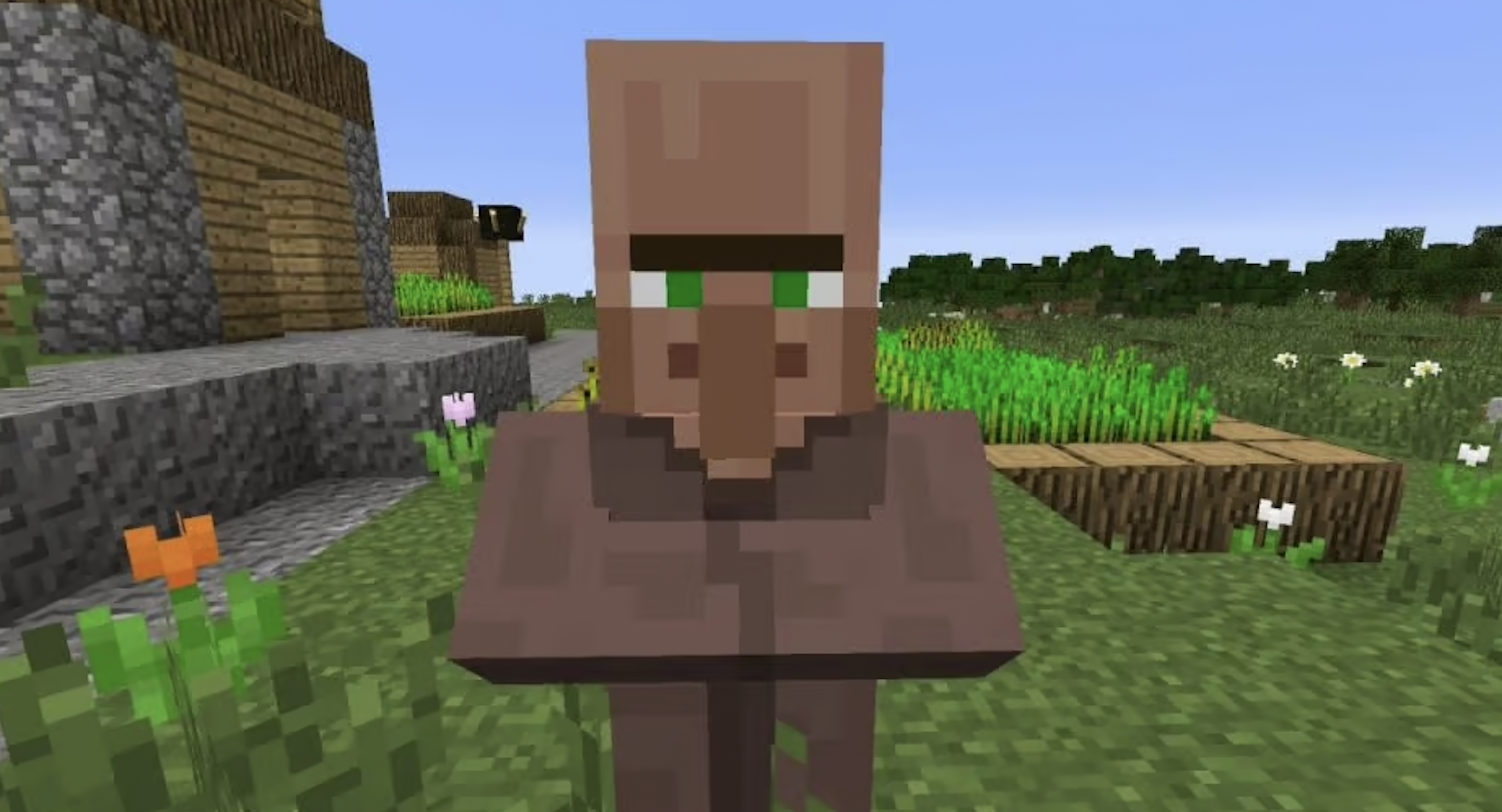 The Villagers