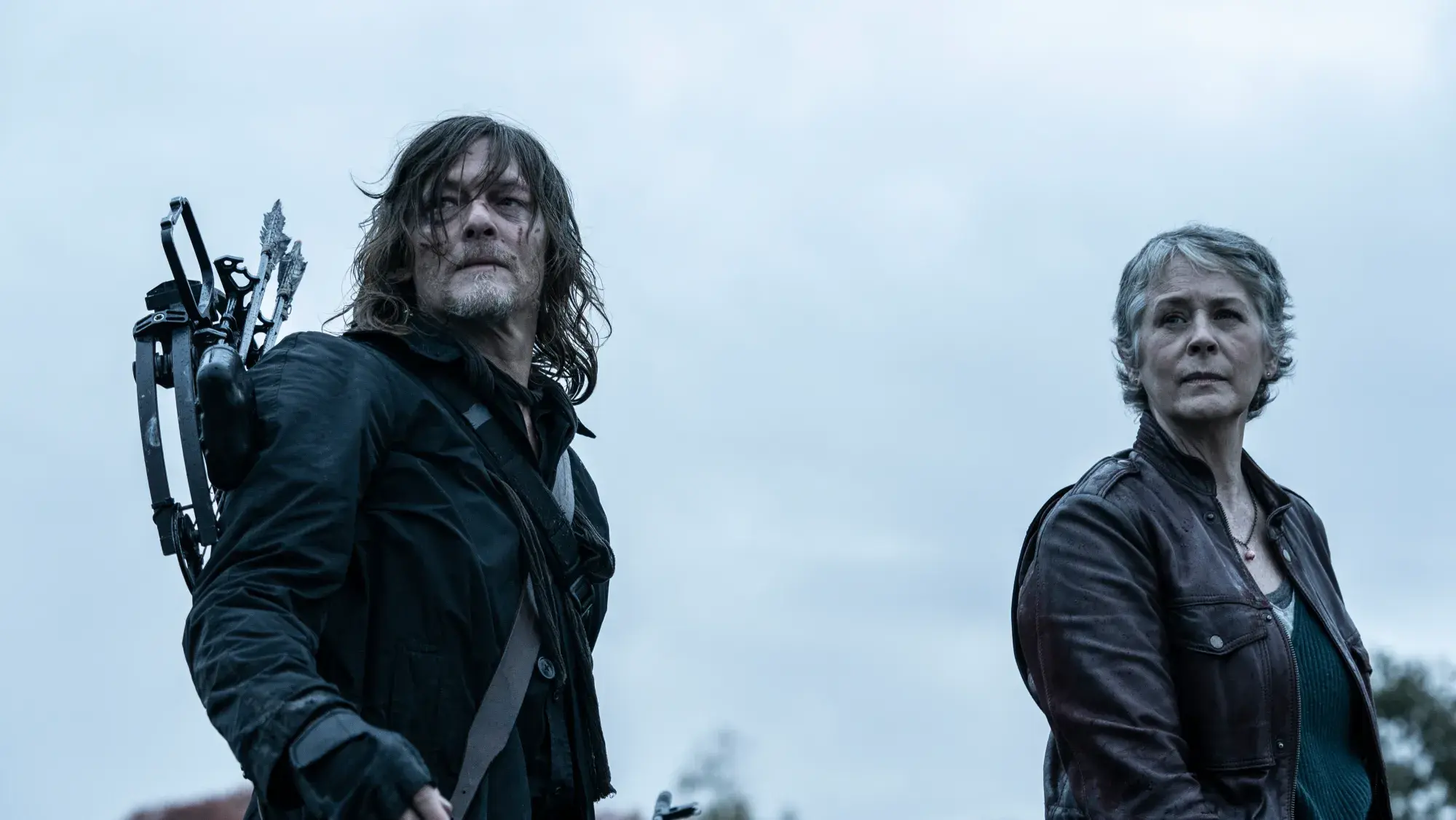 The Walking Dead Daryl Dixon