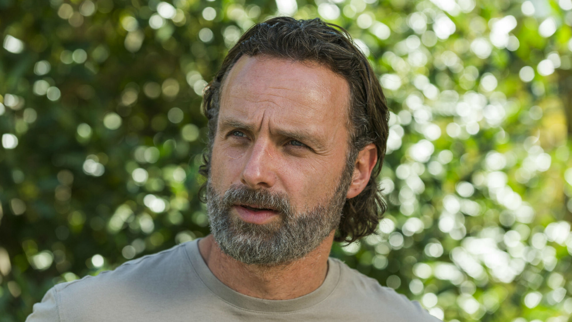 The Walking Dead Rick Grimes