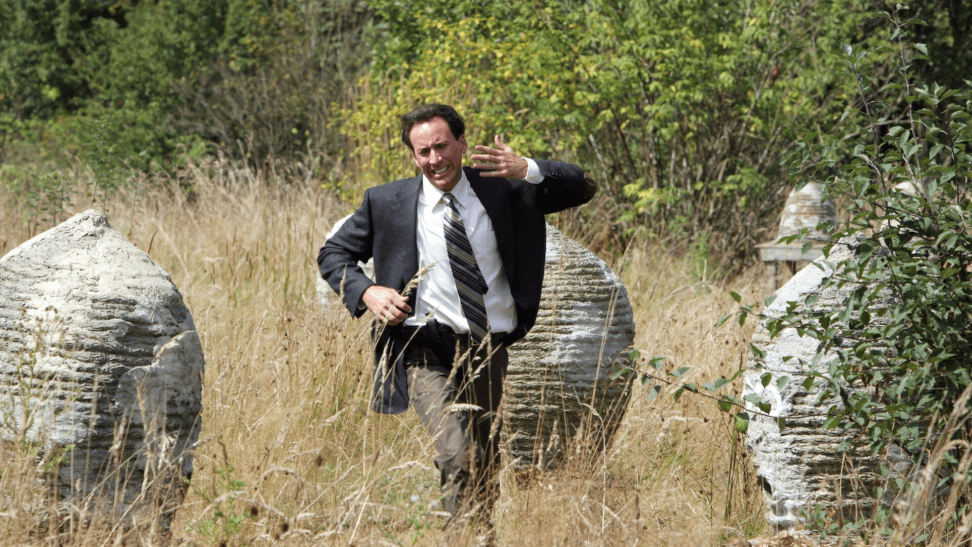 The Wicker Man 2006