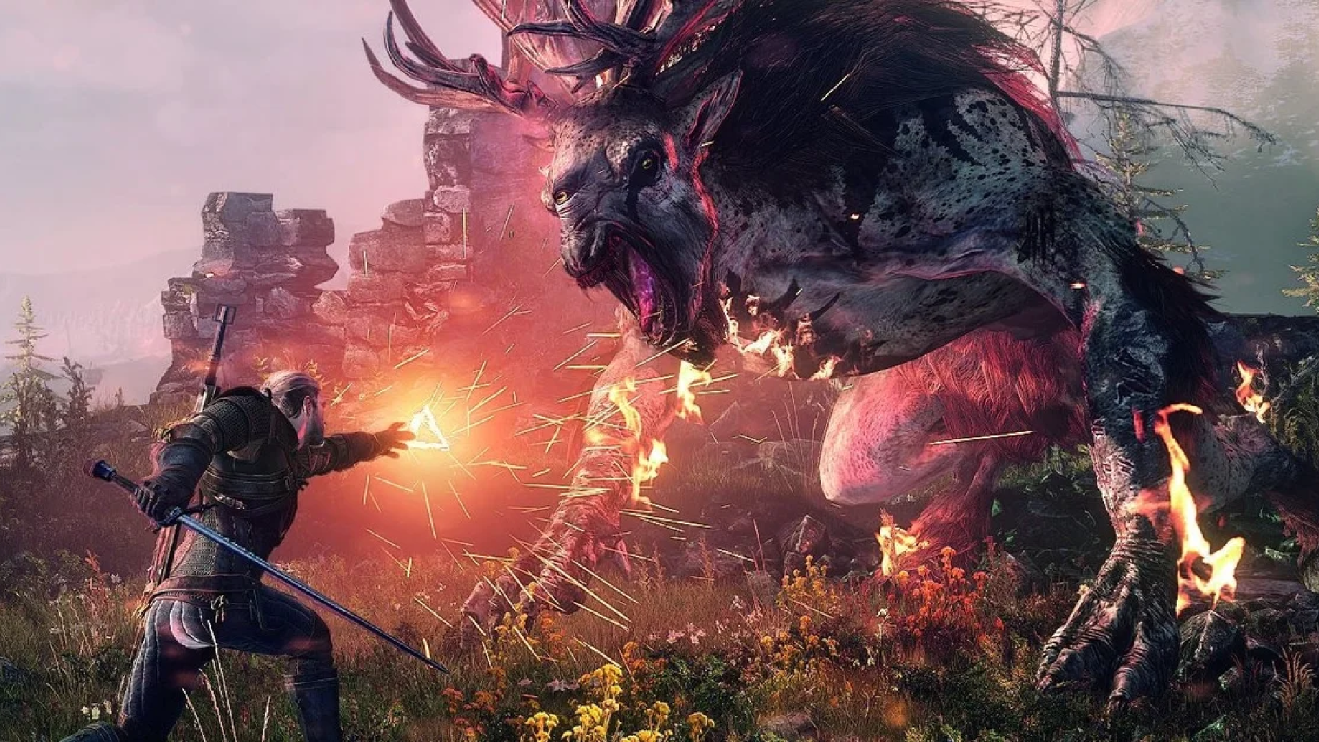 The Witcher 01 CD Projekt