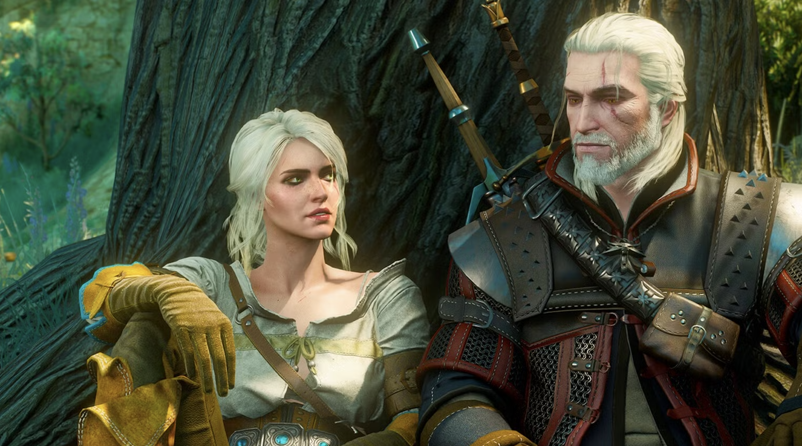 The Witcher 3 Wild Hunt