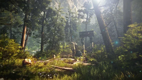 The Witcher 3 forest sun rays 2880x1800