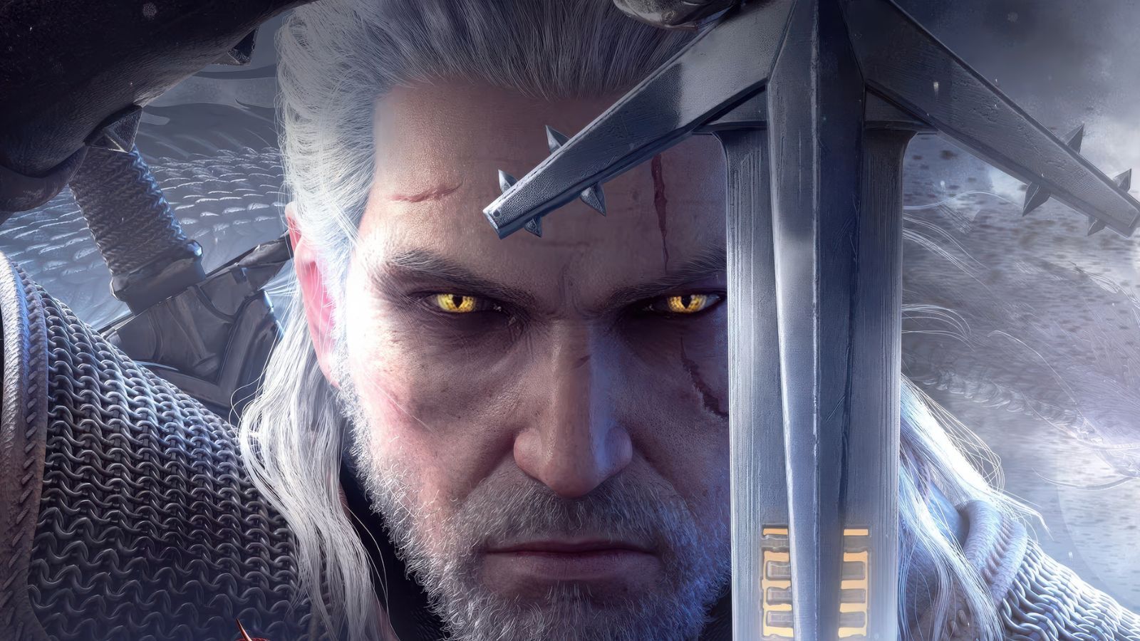 The Witcher Multiplayer