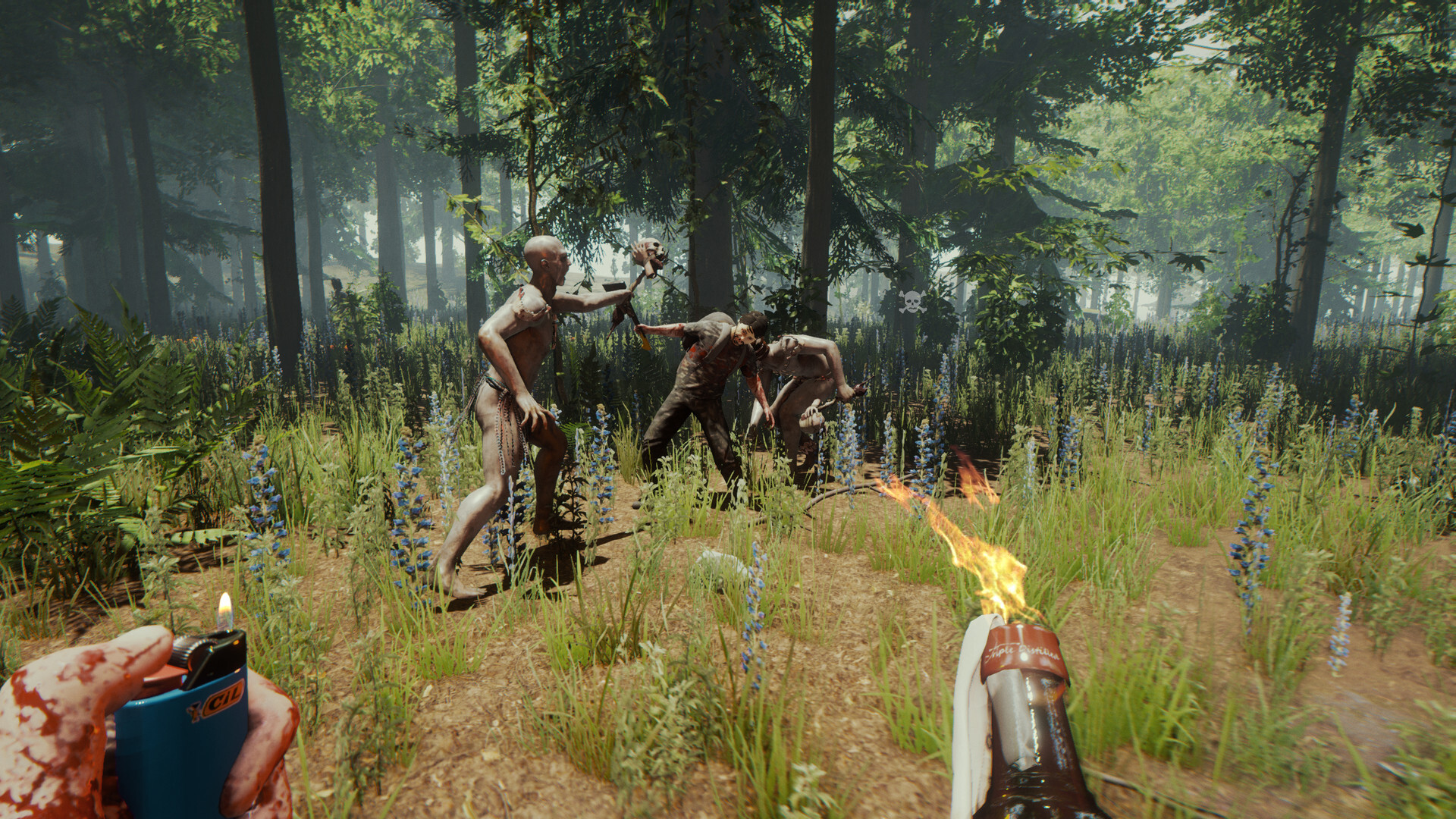 The forest
