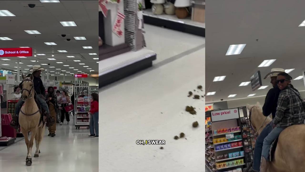 Tik Toker mit Pferd im Supermarkt