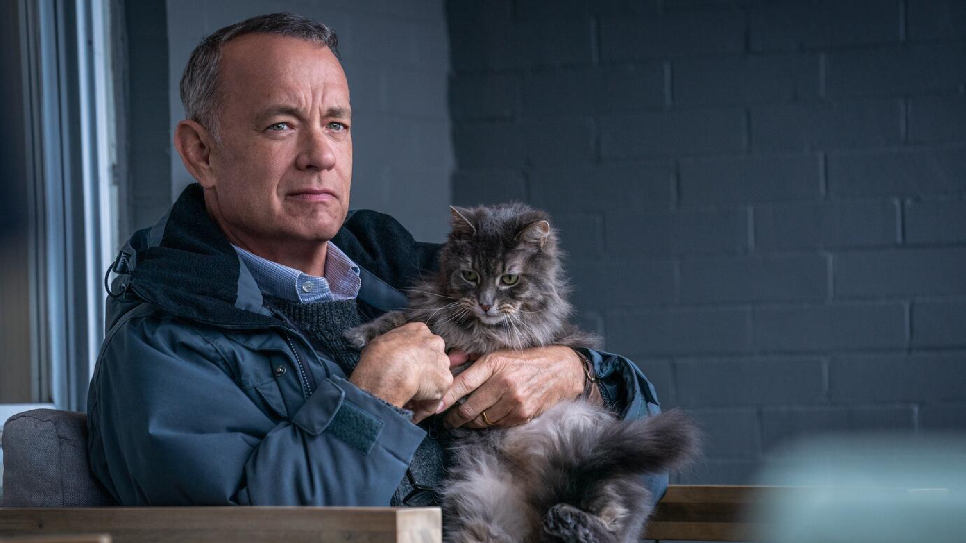 Tom Hanks 01 S Ony Pictures