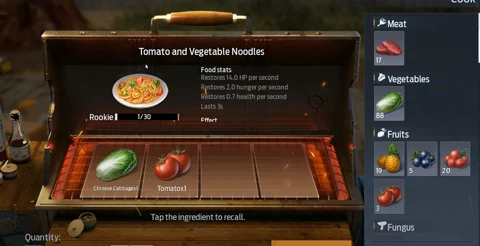 Tomato and Vegetable Noodles