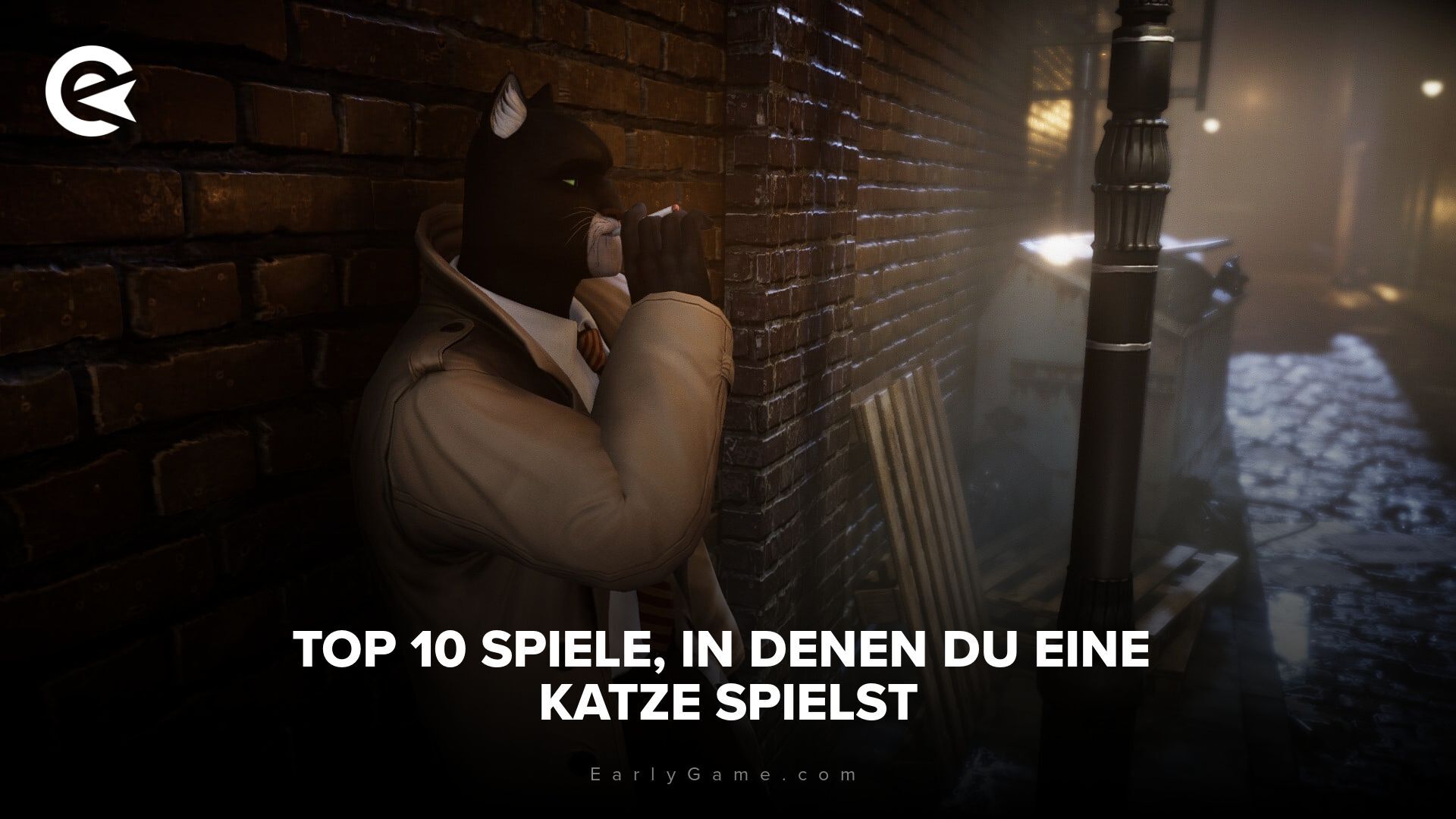 Top 10 Spiele in denen du eine Katze spielst