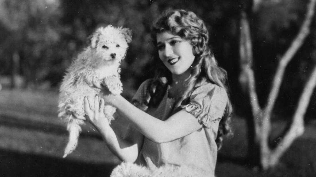 Top Female Actors of All Time Mary Pickford