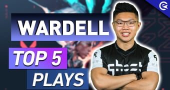 Top 5 Wardell Plays