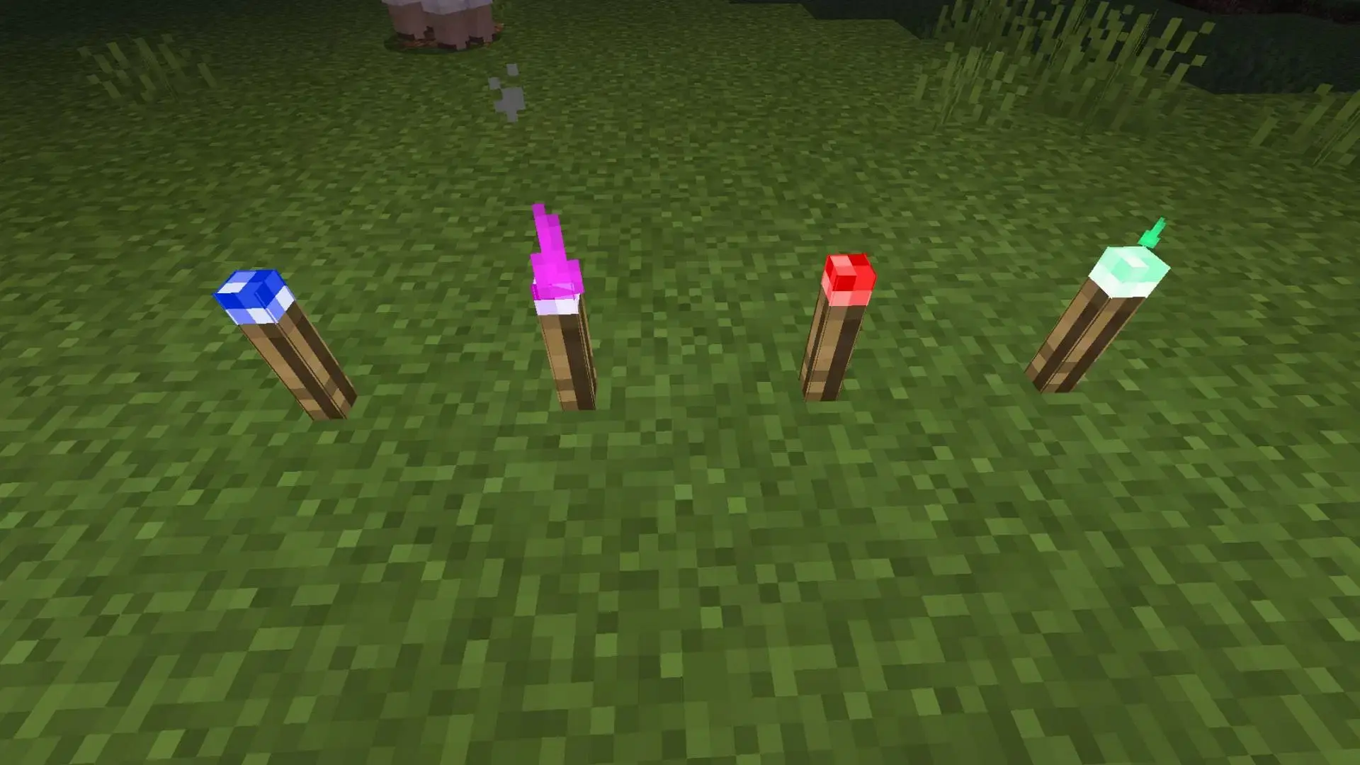 Torches minecraft