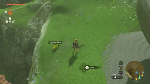 Tot K Hylian Rice Farming