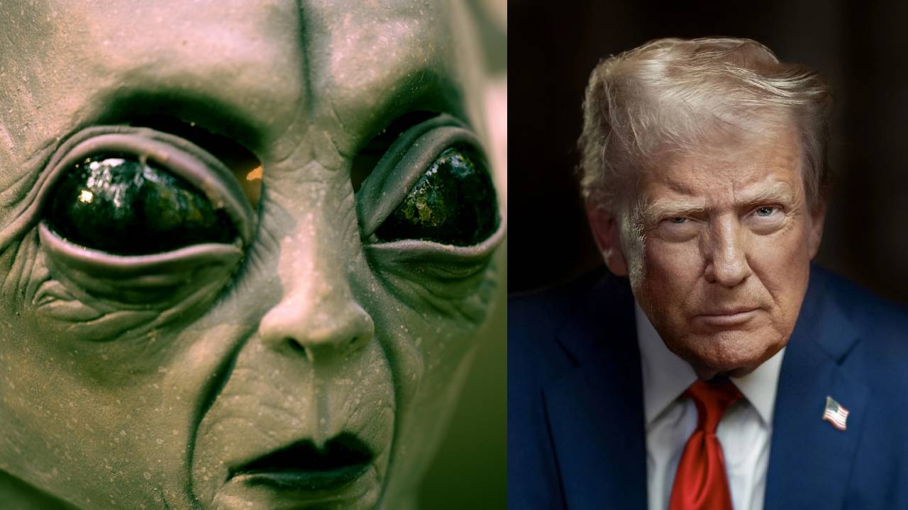 Trump Alien