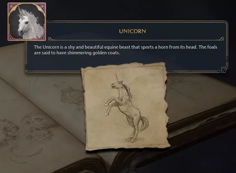 Unicorn