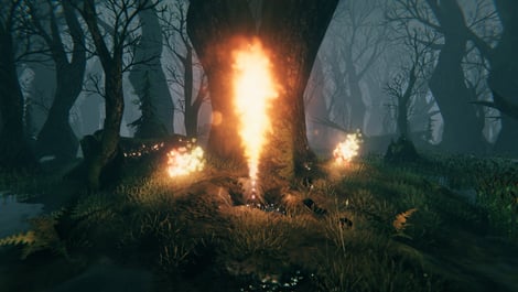 Valheim Swamp Biome