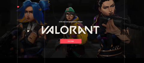Valorant Website Snapshot