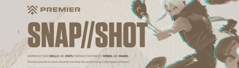 Valorant Snapshot