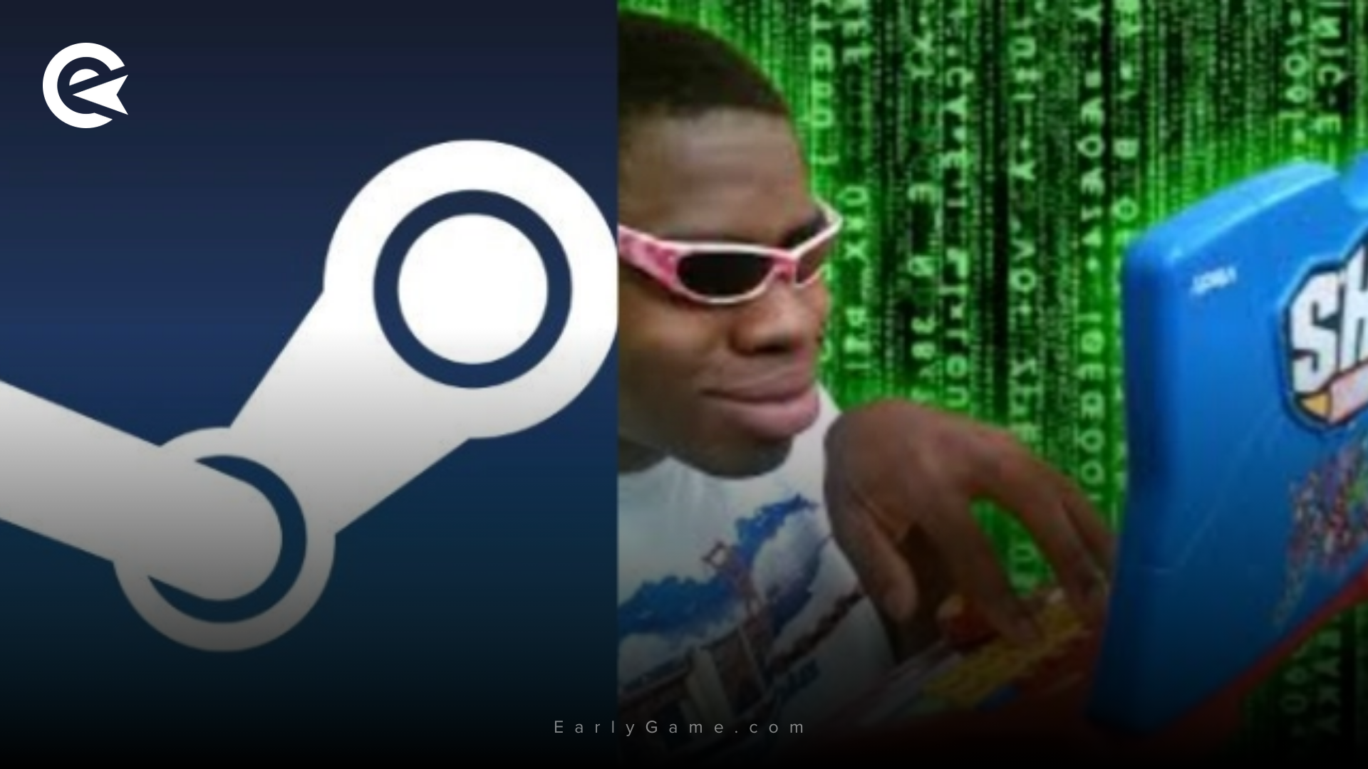 Valve Bug