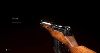 Vanguard Loadouts SVT 40