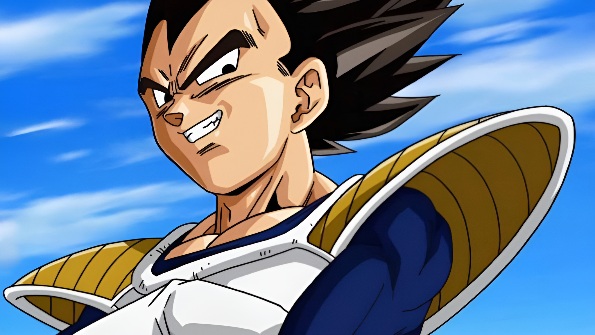Vegeta 1 6867e4817894b jpg
