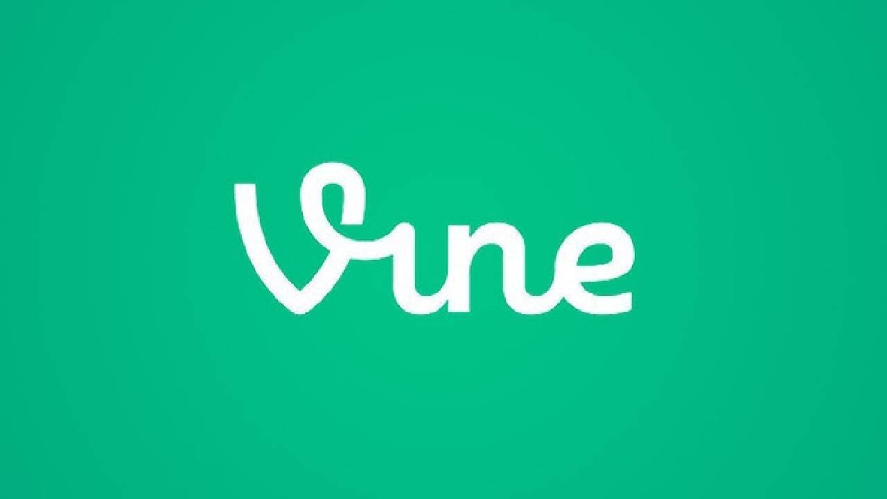 Vine