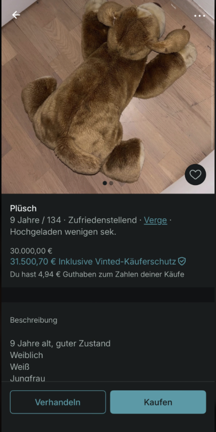 Vinted 02 Tik Tok