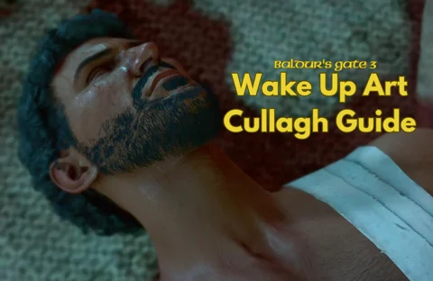 Wake up Art Cullagh Guide