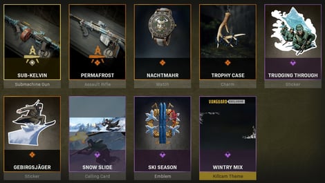 Warzone Bundles Absolute Zeros