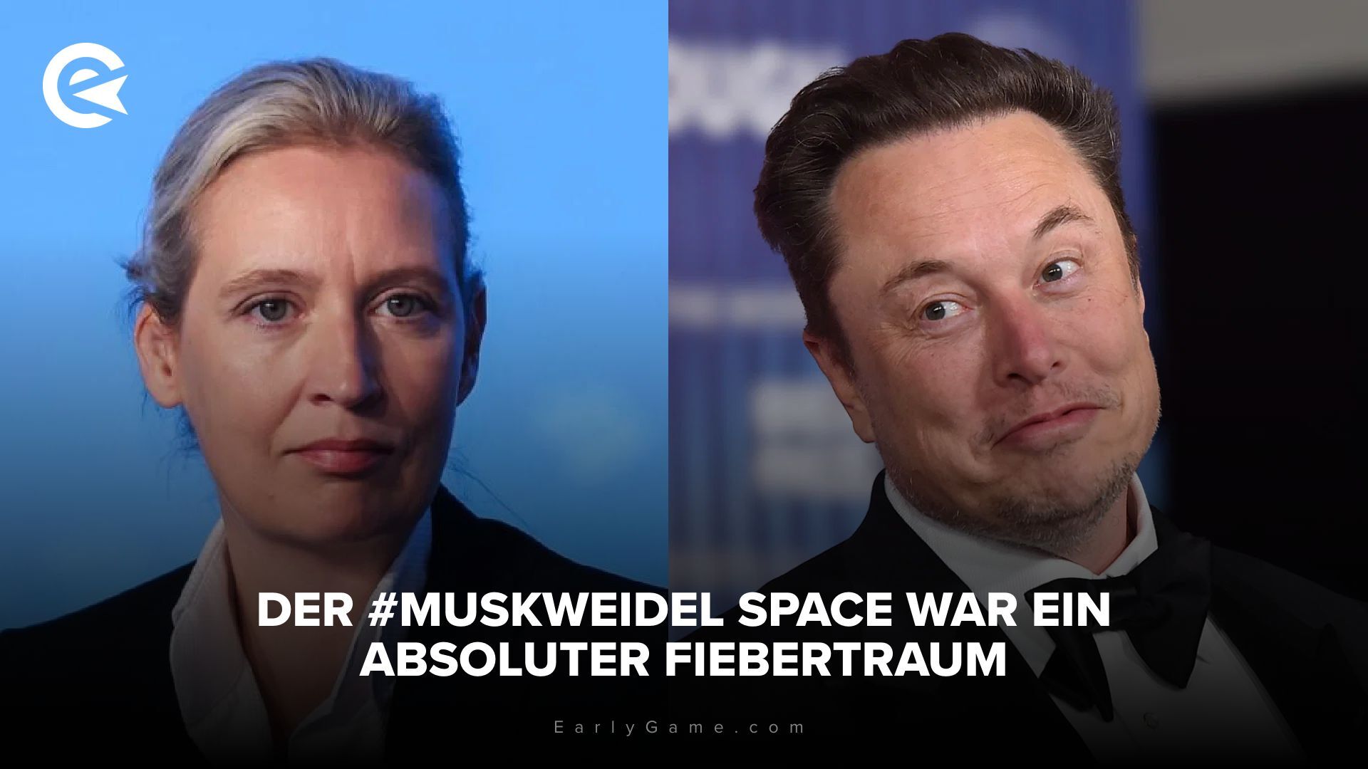 Weidel X Musk 2