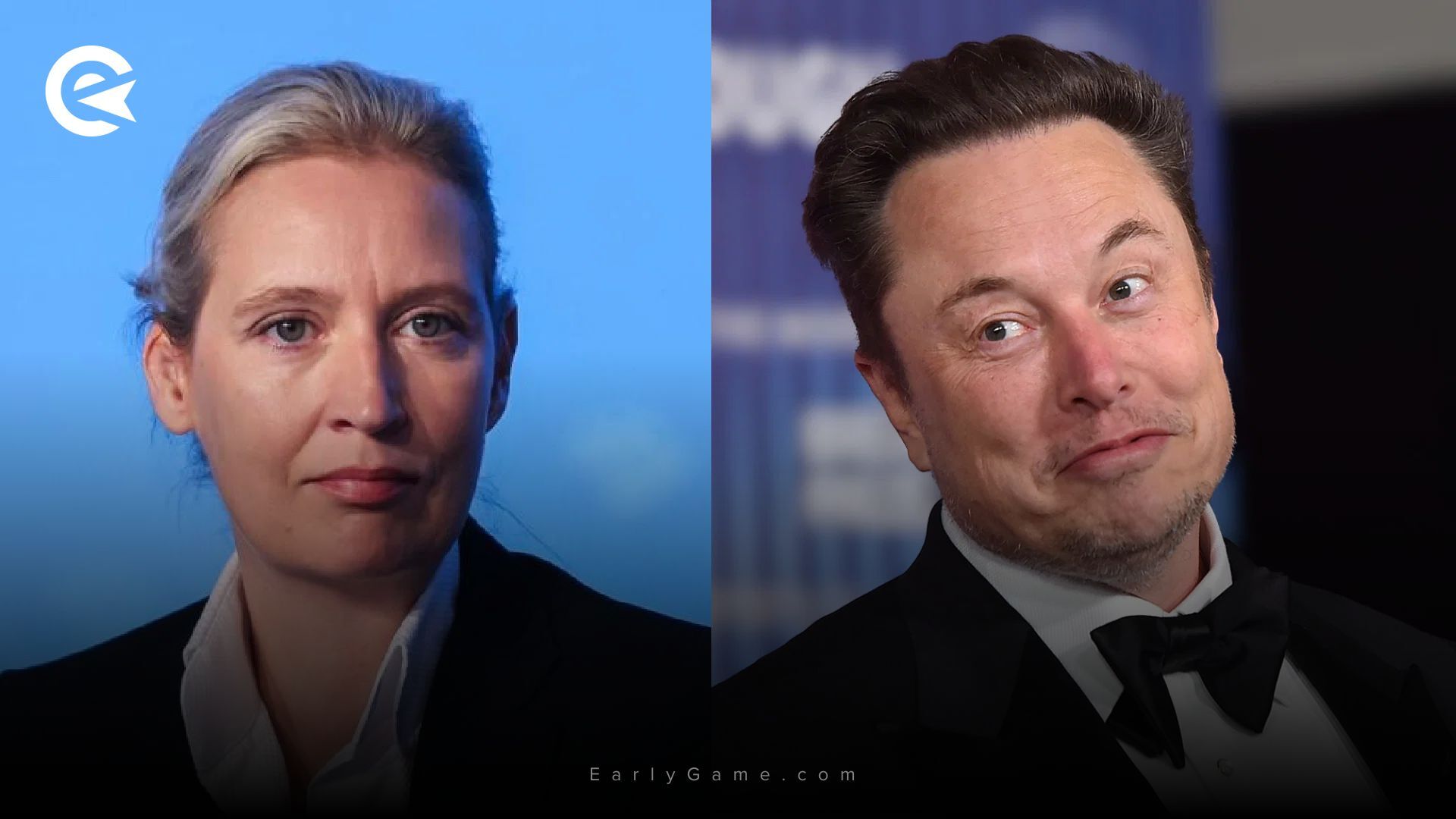 Weidel X Musk