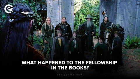 What happened to the fellowship in the books