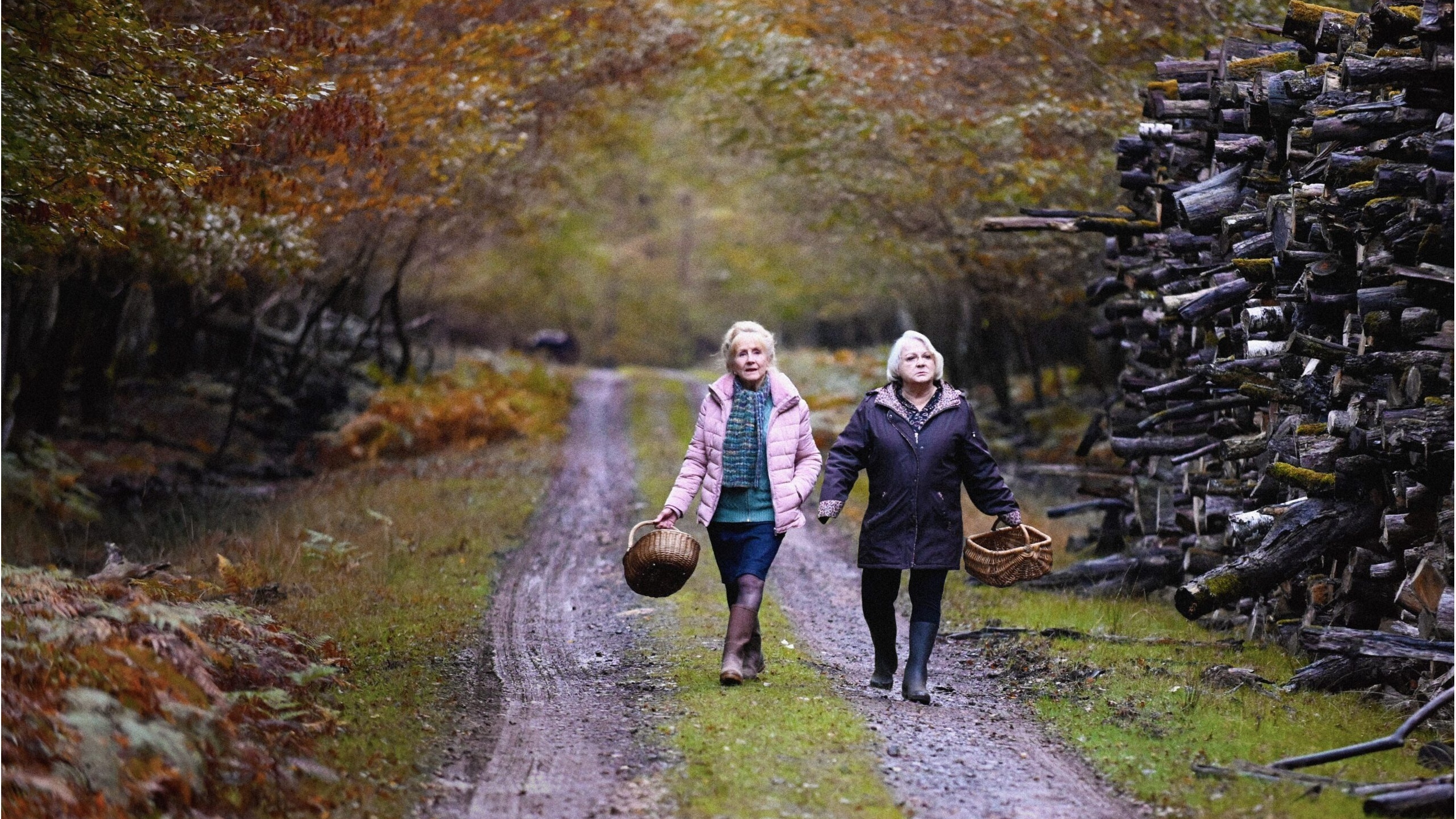 When Fall Is Coming cropped processed by imagy