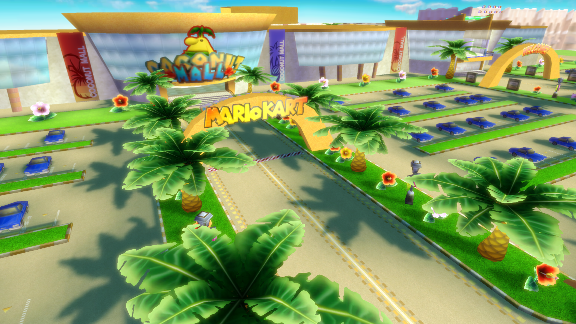 Wii Coconut Mall
