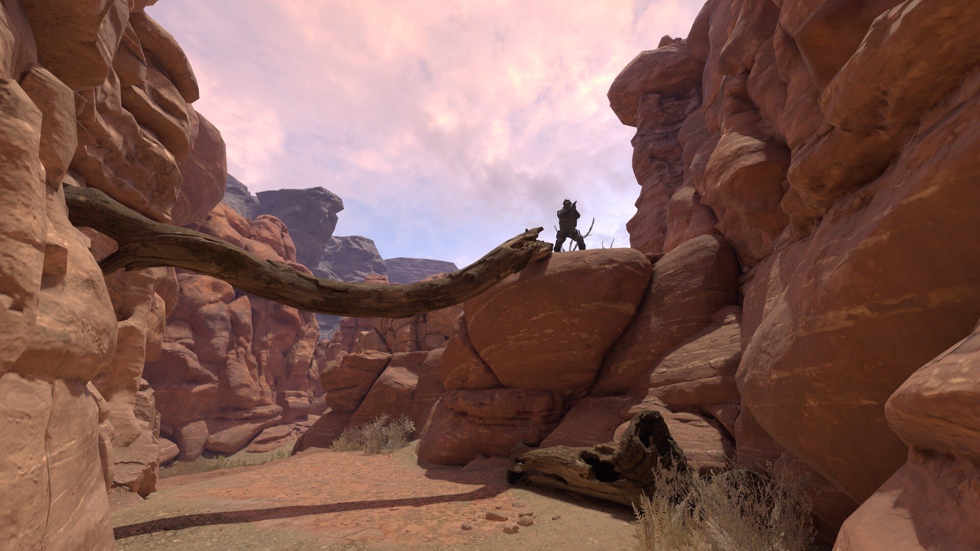 Wild CS2 map