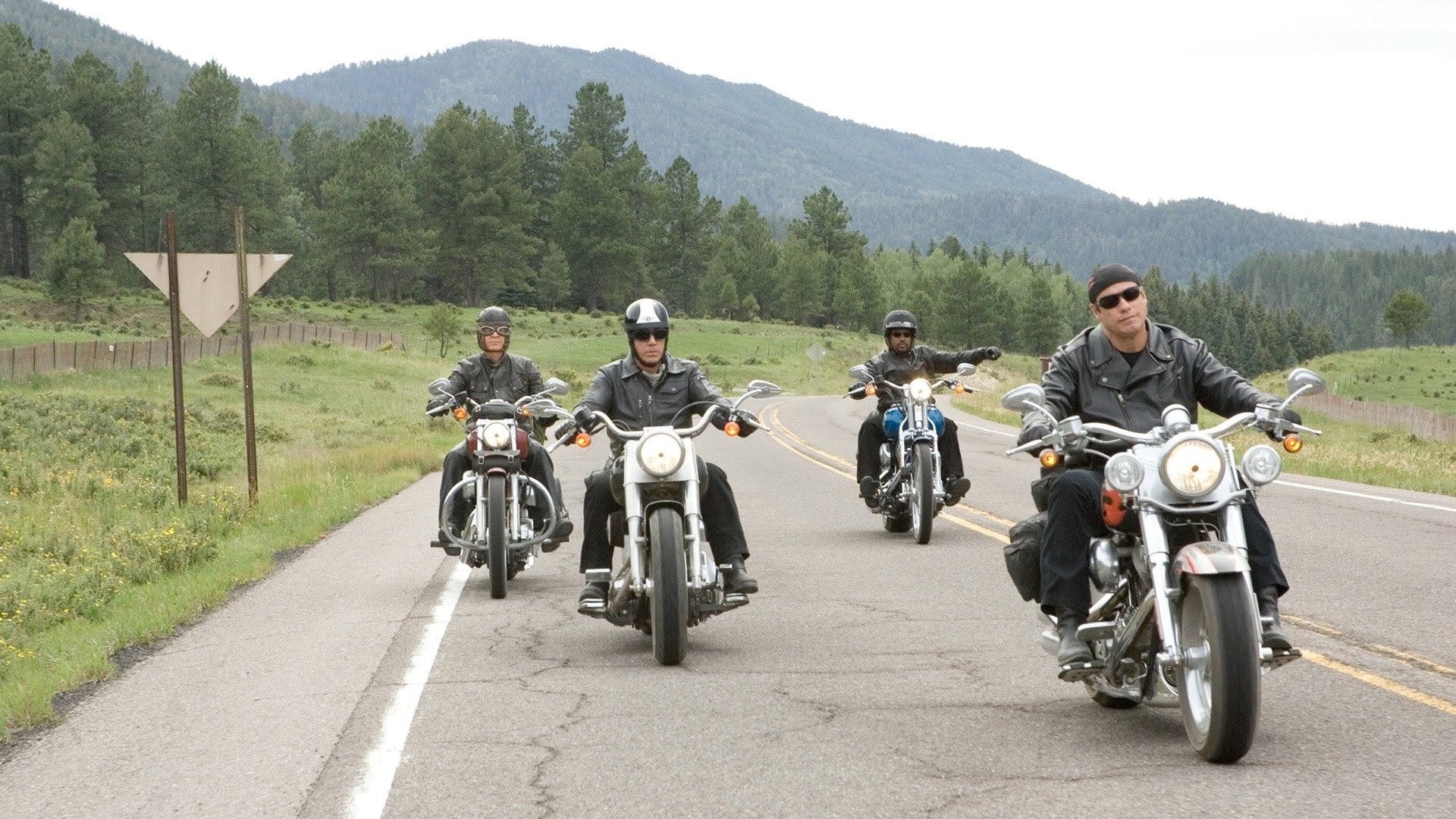 Wild Hogs
